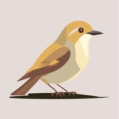 Sparrow Finch Vector 