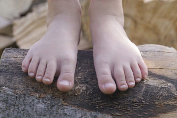 Child feet on wood log, barefoot little girl on tree trunk, countryside lifestyle, concept of grounding and connecting with nature - Powered by Adobe