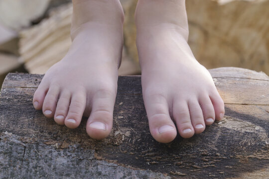 Child feet on wood log, barefoot little girl on tree trunk, countryside lifestyle, concept of grounding and connecting with nature