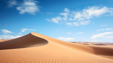 Fototapeta na wymiar Dunes – Endless Desert Sands
