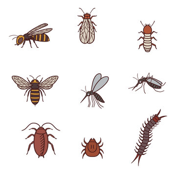 蜂やゴキブリ、ダニなどのリアルな害虫イラストセット