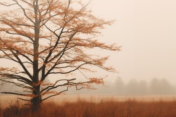Autumn fog in field and trees Ai Generative