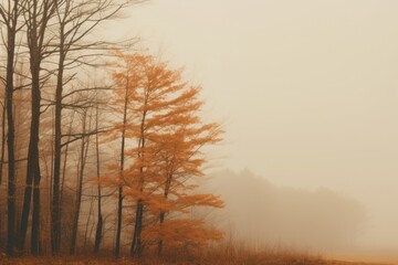 Fototapeta na wymiar Autumn fog in field and trees Ai Generative