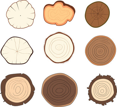 Set of tree rings, wood cross-section with different textures. Detailed tree rings for ecology concept. Nature and timber growth rings vector illustration.