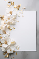 Elegant White Flowers Adorning a Blank Canvas