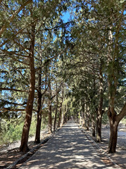 Fototapeta premium The Path to Golgotha On Mount Filerimos