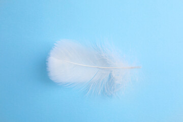 Fluffy white feather on light blue background, top view