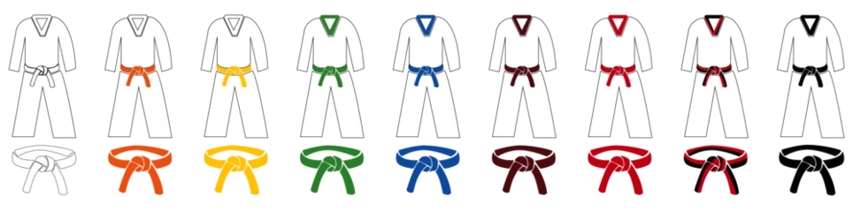 Foto op Plexiglas Taekwondo karate martial arts belts progress bundle © Edgar