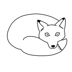Fototapeta premium 丸まるキツネのイラスト
