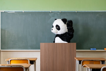 学校の教室の黒板の前に立つ可愛いパンダ