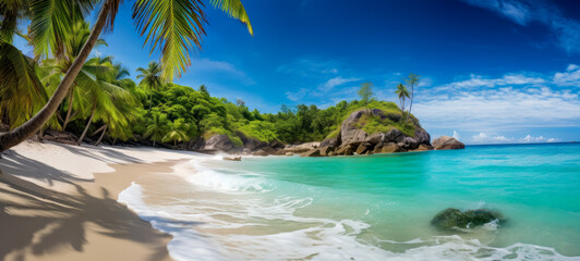 Fototapeta na wymiar Panorama of tropical beautiful beach with coconut palm tree