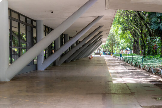 Naturaleza y arte en el parque ibirapuera