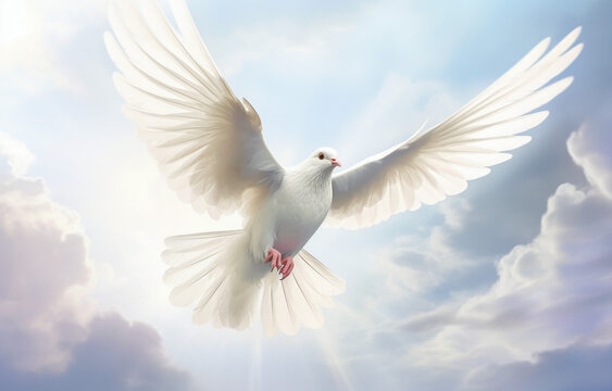 White dove flying in the blue sky with sun rays. 3d render