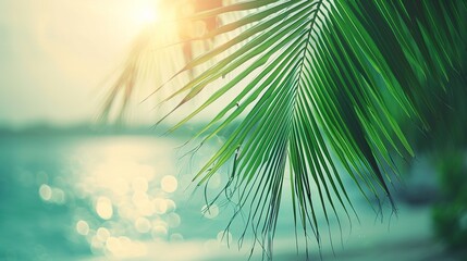 Fototapeta na wymiar Beautiful nature green palm leaf on tropical beach with bokeh sun light wave abstract background. Copy space of summer vacation and business travel concept