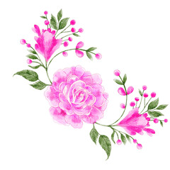 Rose of valentine's day . Realistic watercolor painting design . PNG .