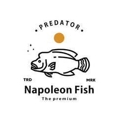 vintage retro hipster napoleon fish logo vector outline monoline art icon