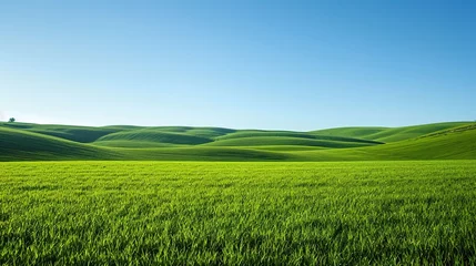Foto op Plexiglas Summertime nature photo of lush green pastures and clear blue sky Explore Earth s beauty Copy space image Place for adding text © INK ART BACKGROUND
