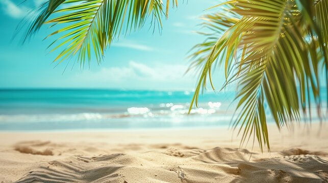 tropical sand beach scene with blue water wave and blurry green palm leaves in foreground, beach background concept with copy space for travel vacation