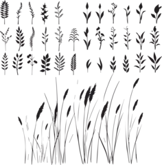 Set of Silhouette beautiful plants with leaves on white background © Qurban Vector & Ai