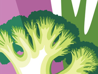 Abstract vegetable design in flat cut out style. Broccoli cross section and Closeup of Broccoli florets. Vector illustration. - 707533767