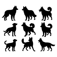 Isolated dogs on the white background. Animals silhouettes. Vector EPS 10.	