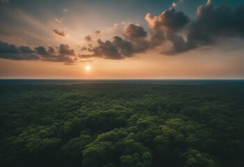 Beautiful green amazon forest landscape at sunset sunrise Adventure explore air dron view vibe