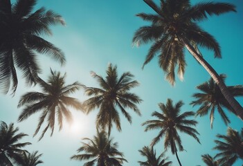 Fototapeta na wymiar Blue sky and palm trees view from below vintage style tropical beach and summer background travel