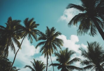 Fototapeta na wymiar Blue sky and palm trees view from below vintage style tropical beach and summer background travel