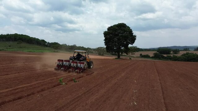 Tractor working in the field, planting peanuts on a sunny day.