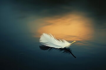 Solitary feather drifting gracefully in a gentle breeze