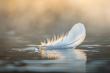Solitary feather drifting gracefully in a gentle breeze
