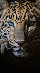 Obraz premium portrait animal close-up