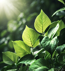 Macro Green Leaf Background Texture - obrazy, fototapety, plakaty