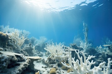 Coral Bleaching Awareness: Documenting the impact of coral bleaching on reefs. - obrazy, fototapety, plakaty