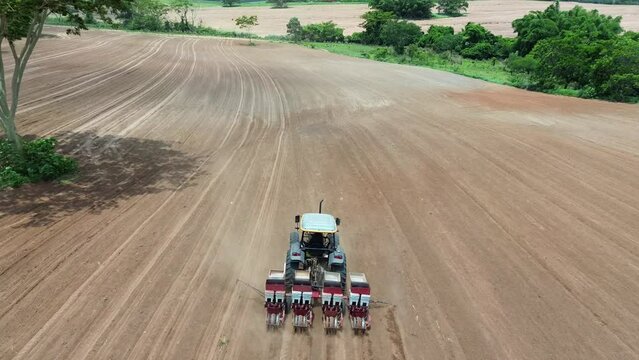 Tractor working in the field, planting peanuts on a sunny day.