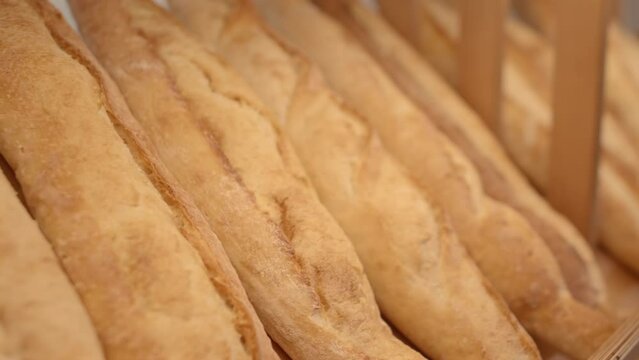 No people closeup of rows of fresh baguettes on shelves in supermarket or bakery