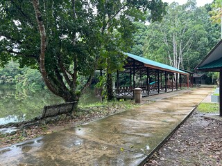 Rainforest Discovery Center. Sandakan is also the second largest town in Sabah, Malaysia. Known as the Natural City, Sandakan visitors have the opportunity to explore wildlife sanctuaries and discover
