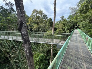 Rainforest Discovery Center. Sandakan is also the second largest town in Sabah, Malaysia. Known as...