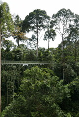 Rainforest Discovery Center. Sandakan is also the second largest town in Sabah, Malaysia. Known as...