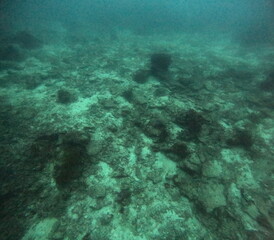 Naklejka na ściany i meble The best diving spot Sipadan Island, Sabah state in Malaysia.