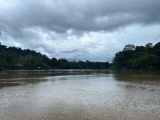 The Kinabatangan river is one of the best and most easily accessible places to see wildlife in Asia! Including so much of Sabah's most sought after wildlife: Orang-utans, proboscis monkeys.