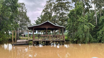 The Kinabatangan river is one of the best and most easily accessible places to see wildlife in...