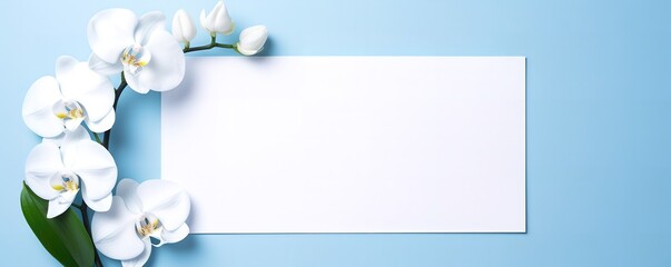 a sheet of paper on a blue background with orchid flower decoration. generative AI