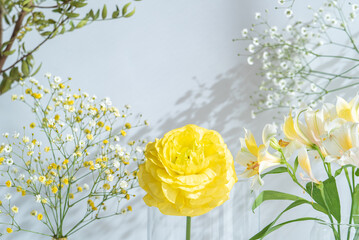 黄色い春の花