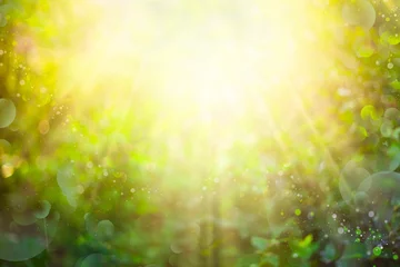 Zelfklevend Fotobehang Beautiful green bokeh nature background with sun rays and lens flares © Алена Ягупа