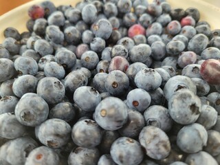 blueberries