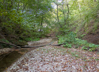 the beginning of a mountain river , a slow flow in a shallow riverbed