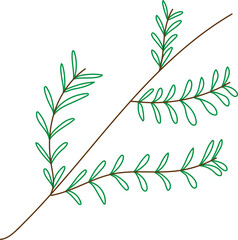 leaves on a branch illustration 
