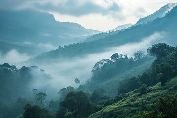 Mountains under the morning mist Amazing natural landscapes. fresh and soothing nature images