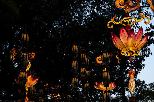 Celebrating Chinese New Year, lanterns hanging on the tree to celebrate the new year
